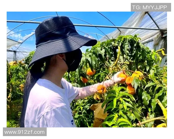 果园采摘乐趣无限，畅游自然田园体验丰收的喜悦与美好时光